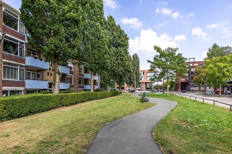 Jacob van Ruysdaelstraat 15 - foto 38