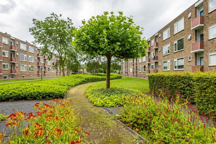 Paterswoldseweg 738 - foto 33