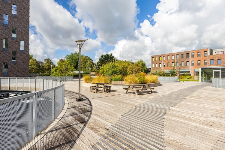 Het Hout 106 - foto 33