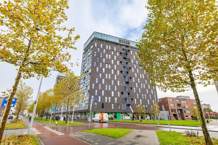 Het Hout 196 - foto 6