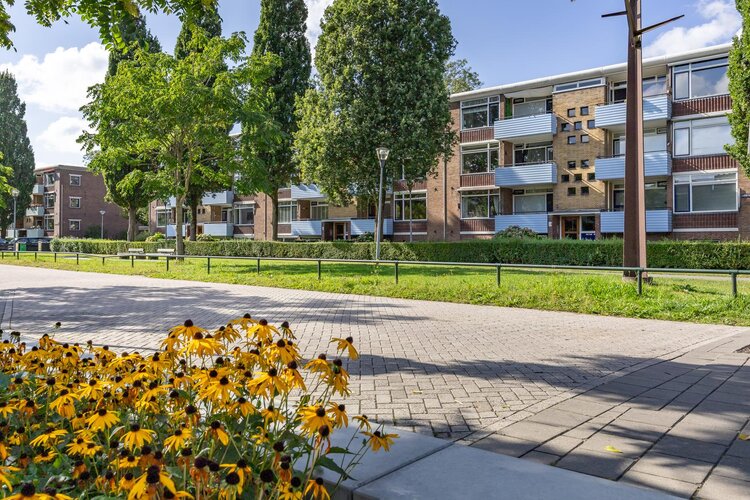 Jacob van Ruysdaelstraat 15 - foto 6