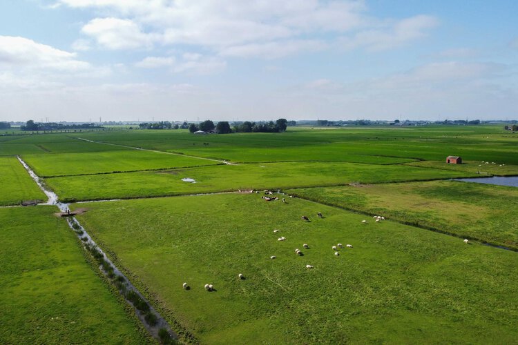 Joeswerd 103 - foto 51