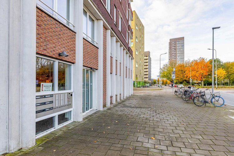 Grote Beerstraat 200 3 - foto 5