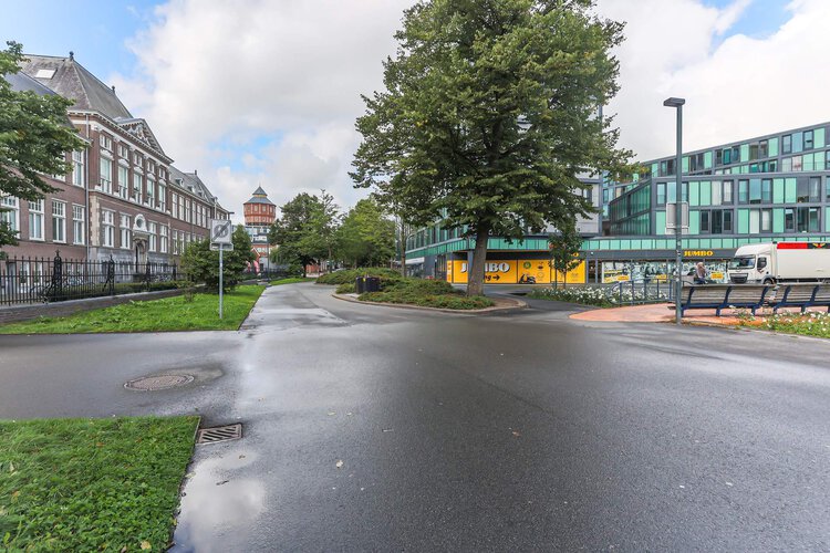 Ebbingedwinger 40 - foto 40