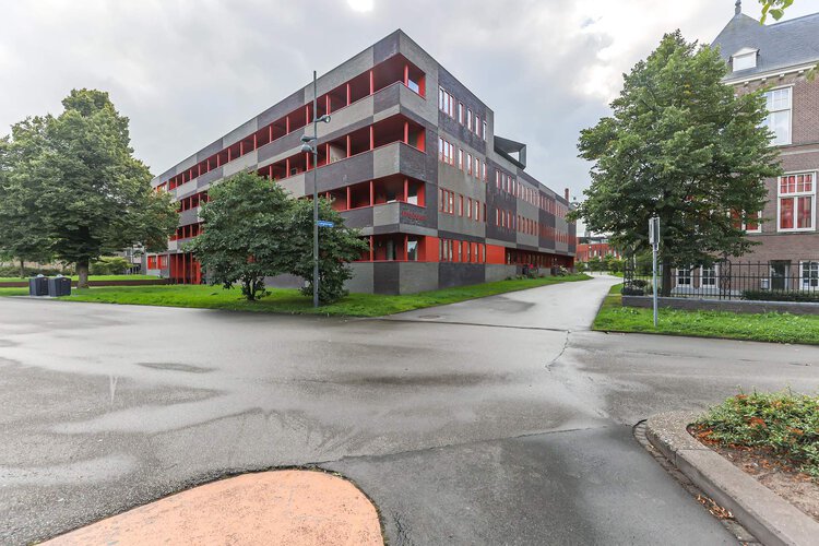 Ebbingedwinger 40 - foto 39