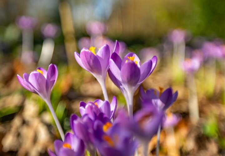 Helper Brink 61 148 - foto 9