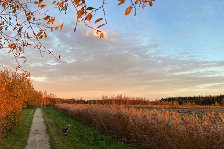 Nieuweweg 60 - foto 82