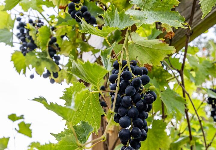 De Overtoom 88 - foto 55