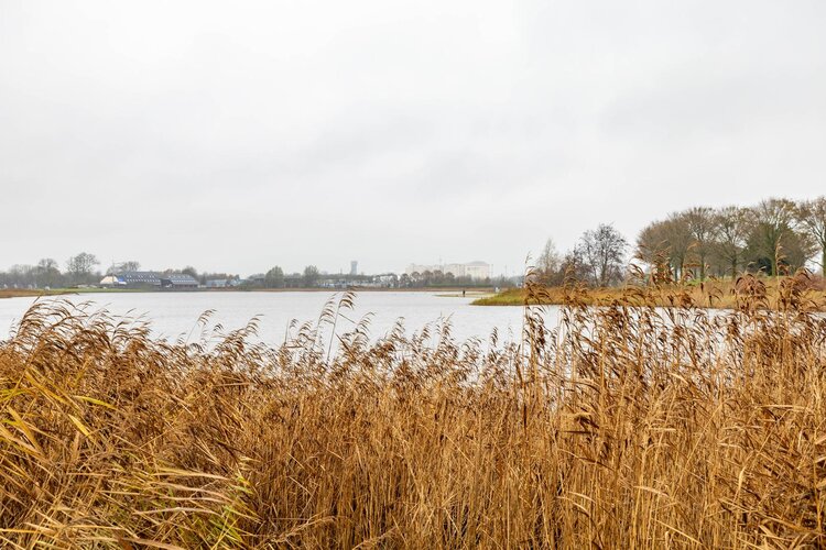 Hein Leemhuisstraat 6 - foto 7