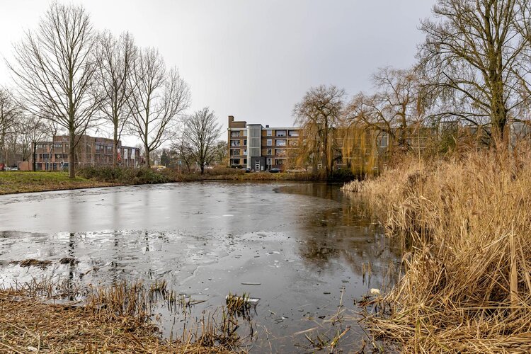 Vondellaan 412 - foto 8