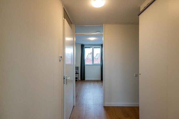 Hooglander 23 - foto 46