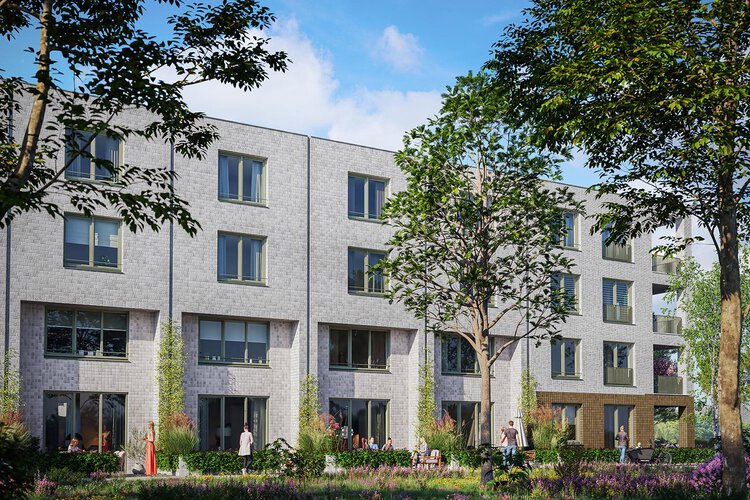 De Suikerzijde - foto 7