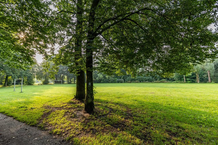 Jaltadaheerd 89 - foto 31