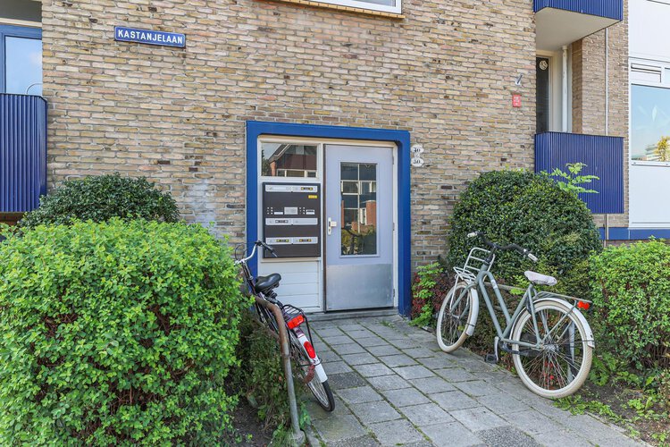 Kastanjelaan 50 - foto 6