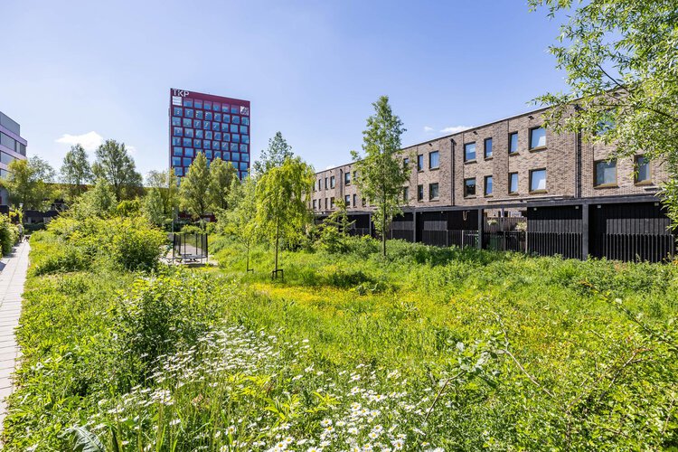 Schorsmolenstraat 63 - foto 60