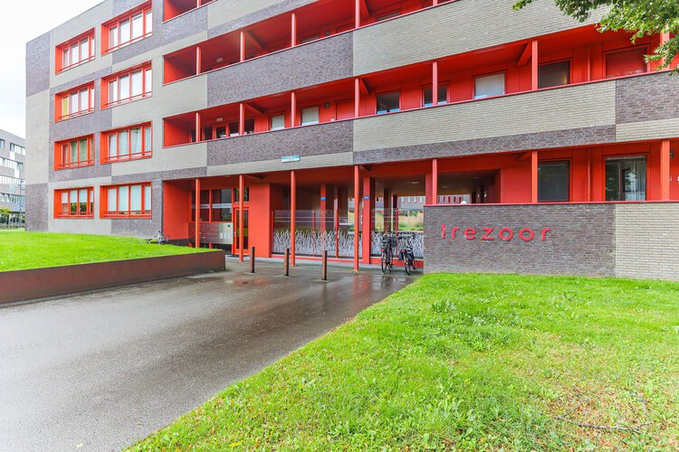 Ebbingedwinger 40 - foto 5