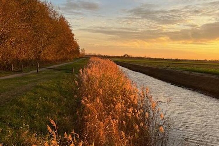 Nieuweweg 60 - foto 79