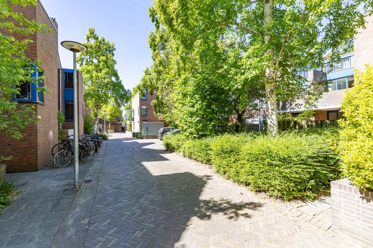 Petrus Campersingel 31 52 - foto 5