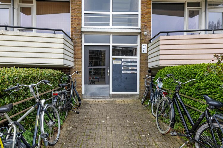 Adriaan van Ostadestraat 67 - foto 10