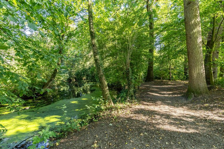 Helper Brink 61 161 - foto 9