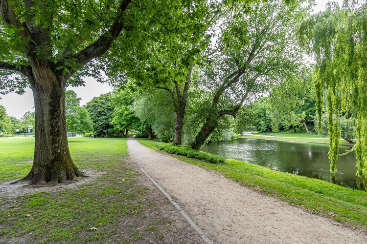 Nassaulaan 15 - foto 7