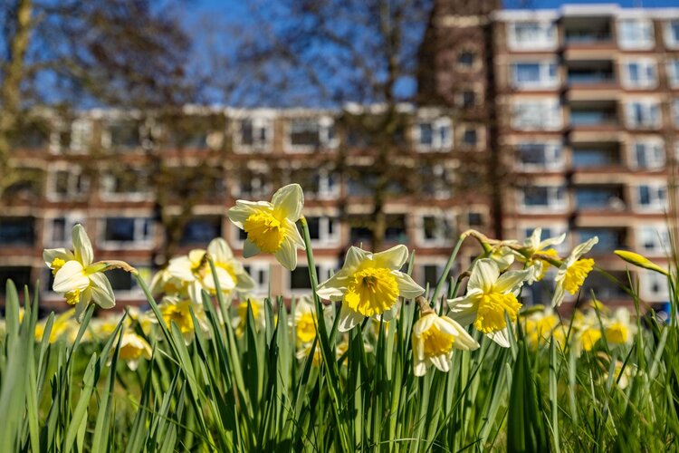 Wenckebachlaan 32 - foto 41