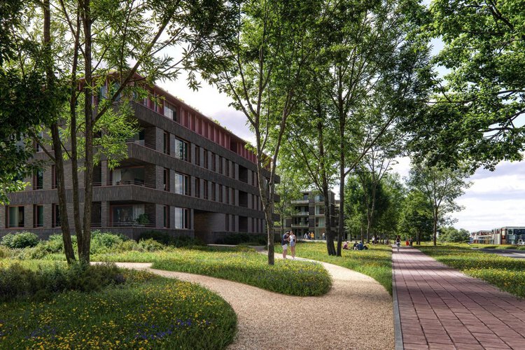 Onlander Waarde - foto 4