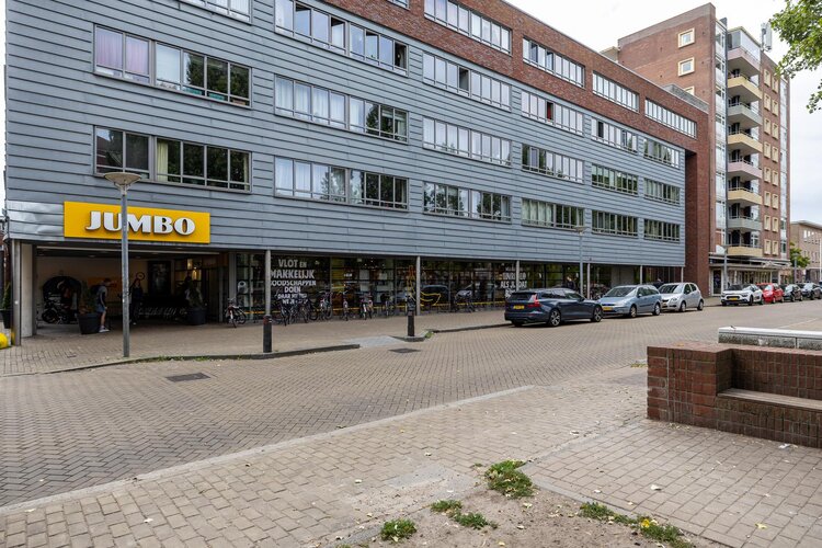 Linnaeusplein 15 - foto 8