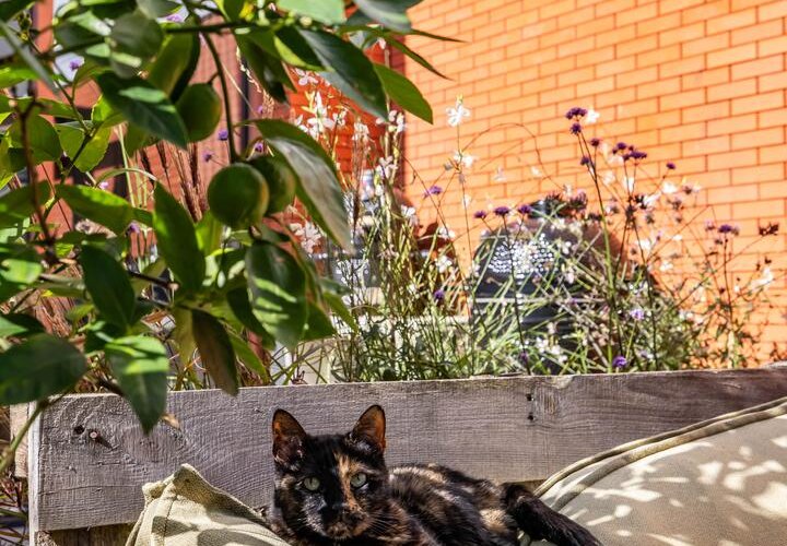 Het Lansink 15 - foto 31