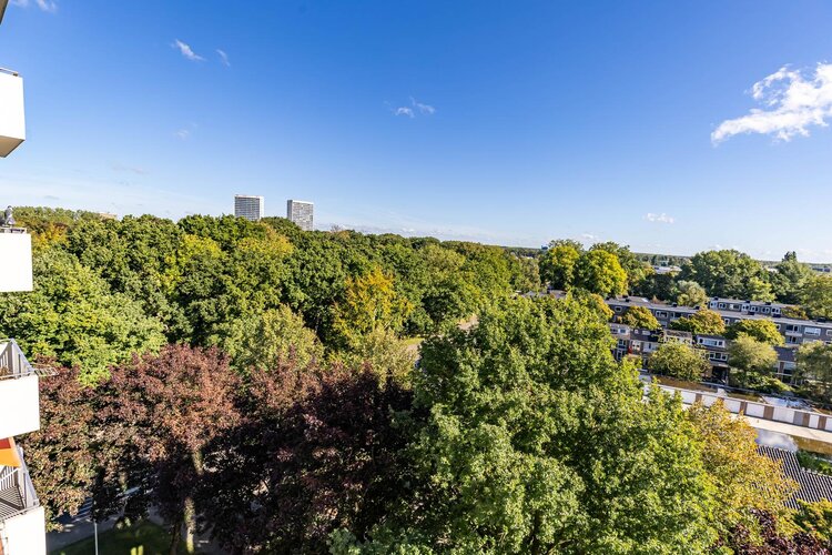 Helper Brink 61 161 - foto 36