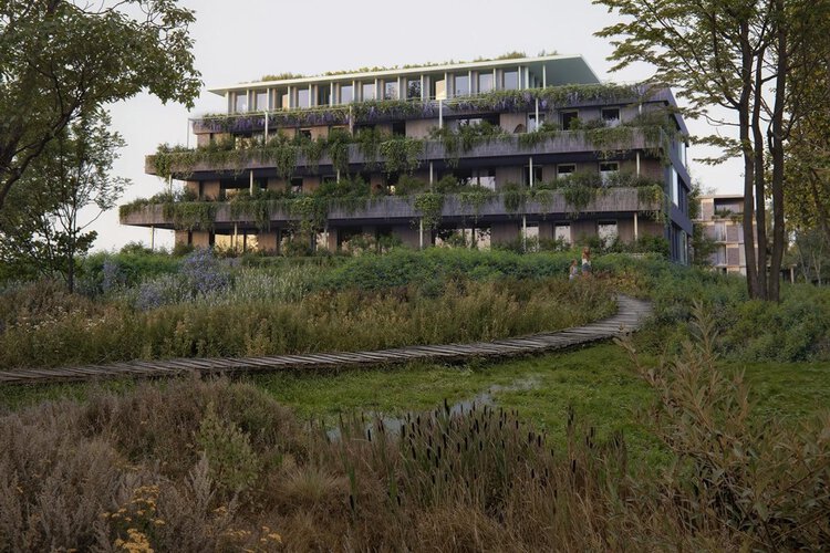 Onlander Waarde - foto 1