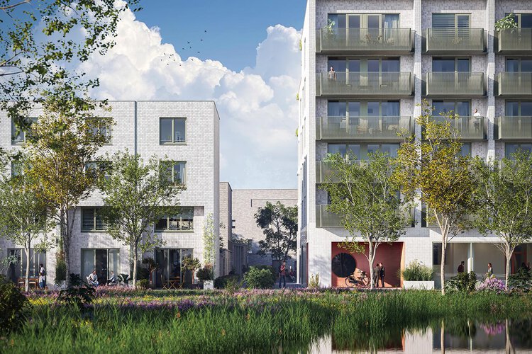 De Suikerzijde - foto 8