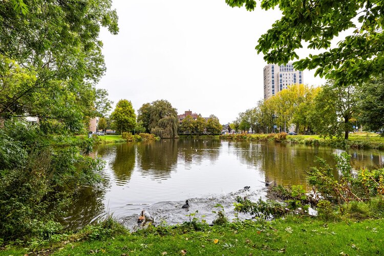 Capellastraat 2 - foto 36