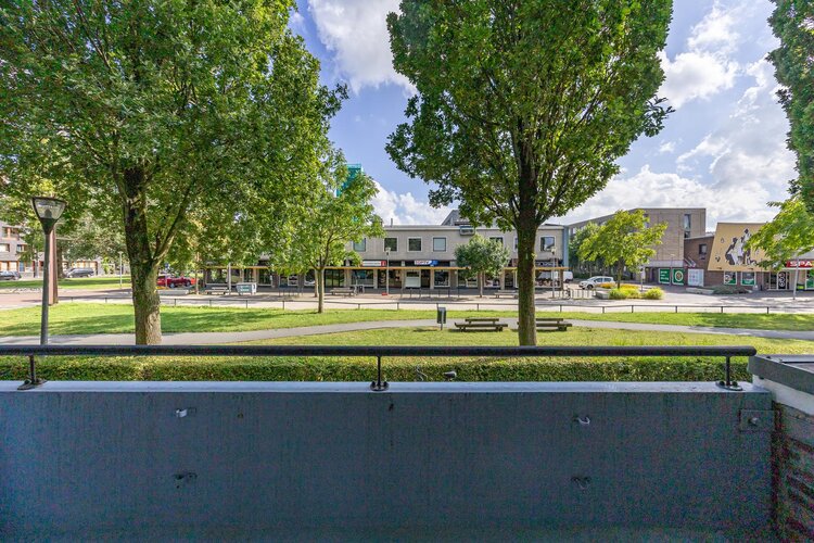 Jacob van Ruysdaelstraat 15 - foto 28