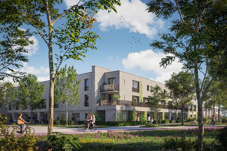 De Suikerzijde - foto 3