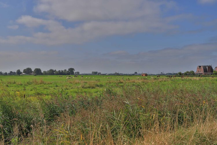 Joeswerd 103 - foto 47