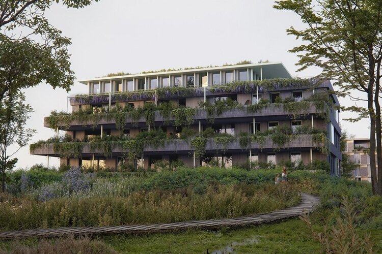 Onlander Waarde - foto 1