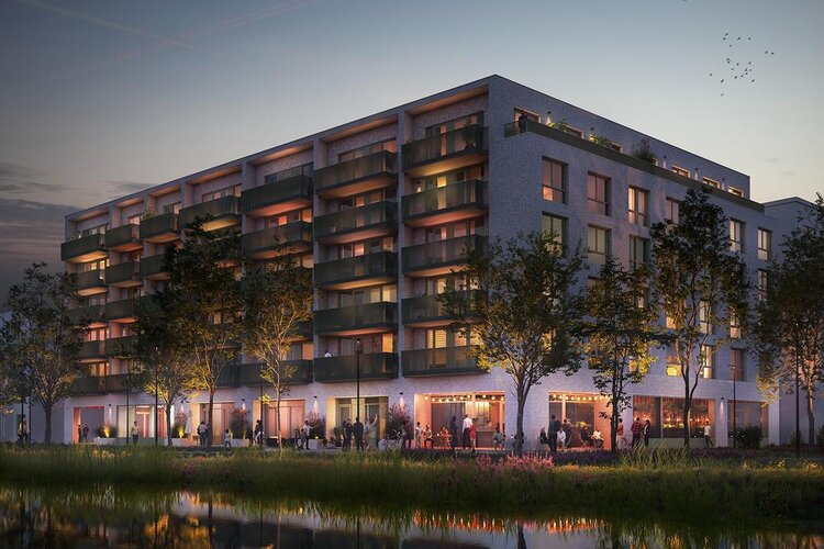 De Suikerzijde - Vertex - foto 6