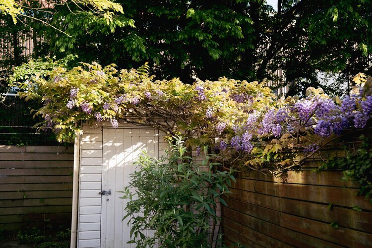 Peizerweg 16 - foto 52