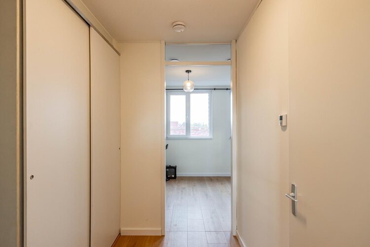 Hooglander 23 - foto 45