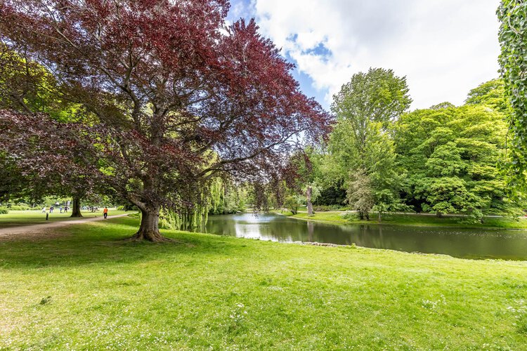 Plantsoenstraat 50 - foto 57