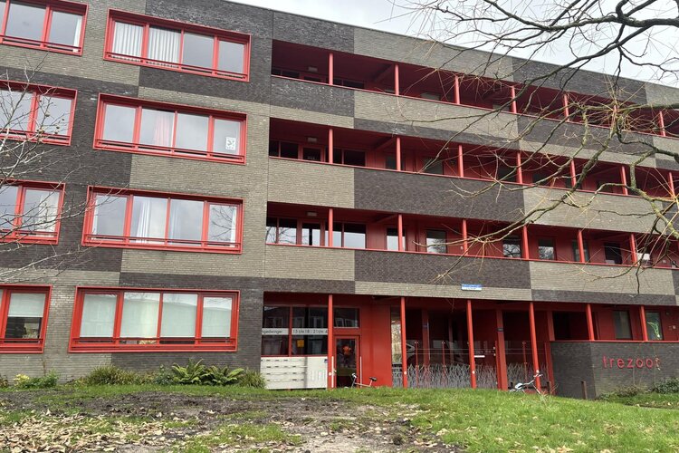 Ebbingedwinger 24 - foto 1