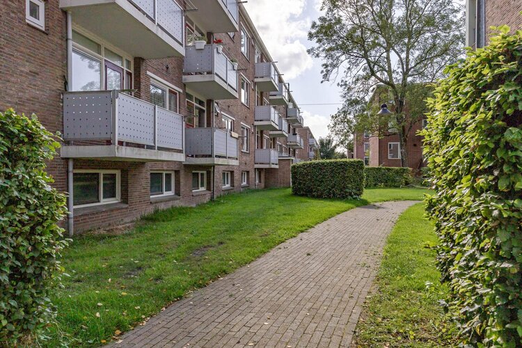 Jacob van Ruysdaelstraat 15 - foto 36