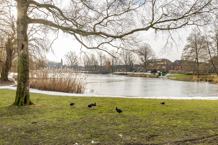 Pioenstraat 23 - foto 7