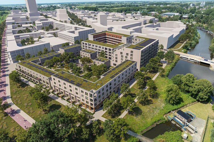 De Suikerzijde - Vertex - foto 7