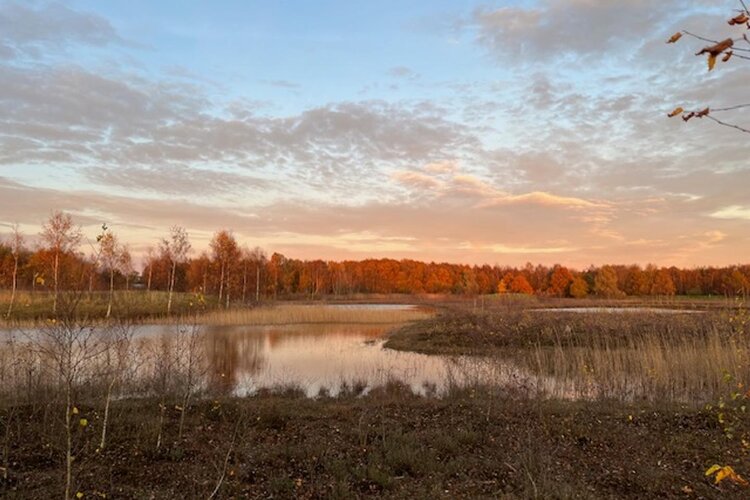 Nieuweweg 60 - foto 83