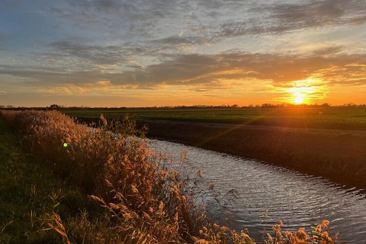 Nieuweweg 60 - foto 80